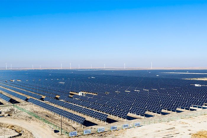 吉林白城領跑者項目