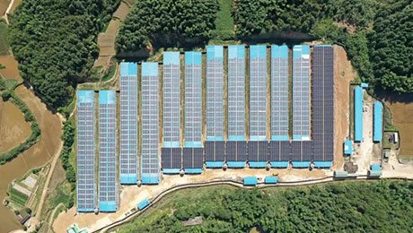 賦能畜牧業(yè)綠色發(fā)展 日托輕柔組件項(xiàng)目落地福建