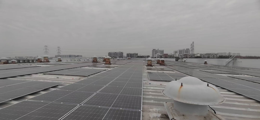 日托綠色科技賦能乳業,伊利光伏項目點亮可持續未來